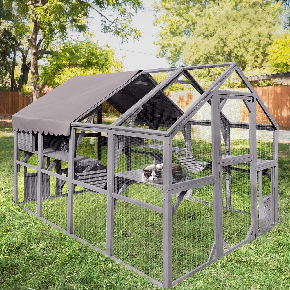 aivituvin Outdoor Cat Run : Large Cat Enclosure